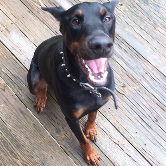 Meet the Posher! 💕💁🏼‍♀️👶🏼 - Picture 4 of 5